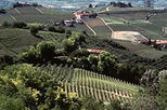 Private Full Day or Half Day Piedmontese Wine Tour of The Barolo Region
