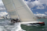 America's Cup Sailing on Auckland's Waitemata Harbour