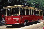 10% Off Chicago Hop-on Hop-off Trolley and Upper Decker Tour by Viator