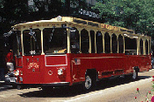 Chicago Hop-on Hop-off Trolley and Upper Decker Tour