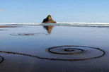 Auckland Highlights combined with Wilderness Experience Eco-Tour