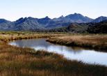 Auckland's Untamed Great Barrier Island Tour