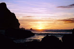 Waitakere Ranges Wilderness Experience Eco-Tour from Auckland