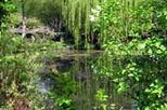 Giverny and Monet's Garden Biking Tour