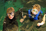 Swim with the Fishes at The Florida Aquarium in Tampa Bay