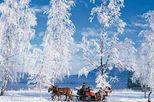 Christmas Horse Drawn Sleigh Ride from Salzburg