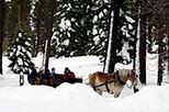 Sunset Sleigh Ride and Dinner
