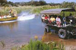 Billie Swamp Safari Park - Big Cypress Day Package