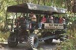 Billie Swamp Safari Park - Swamp Buggy Eco Tour