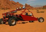 Valley Of Fire Buggy Tour