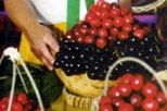 Discovering Tuscan Flavors - Lari and Volterra with Tuscan Lunch