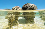 4 Day 4WD Tour - Perth to Exmouth via Monkey Mia