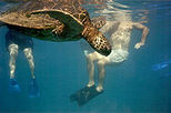 Turtle Reef Kayak Tour, Hawaii, Kayaking & Canoeing