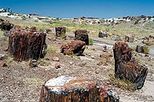 Petrified Forest, Painted Desert and Meteor Crater