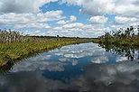 Noosa Everglades BBQ Lunch Cruise