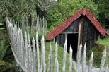 Rotorua Cultural Eco Small Group Afternoon Tour