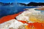 Rotorua Eco Thermal Morning Tour