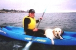 La Jolla Pooch Paddling Kayak Rental