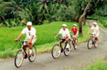 Bali Full-Day Downhill Eco Cycling Tour with Buffet Lunch