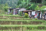 North Coast of Bali Mountain Tour: Singaraja and Bedugul
