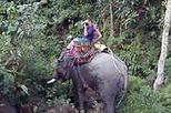 Elephant Adventure, Hilltribes and Mae Kok River Trip, Chieng Mai tours, north Thailand