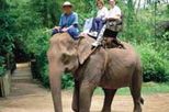 Elephant Trek, Rafting and Hilltribe from Chiang Mai
