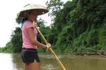 Elephant Trek, Rafting and Hilltribe Village Tour from Chiang Mai