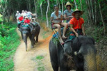 Phuket Half-Day Safari Tour