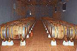 Private Wine and Cellar Tour to Mafra and the Bucelas Wine Region