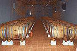 Private Wine and Cellar Tour to Mafra Region and Quinta de Santana
