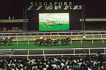 Go Racing at the Singapore Turf Club