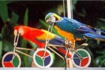 Jurong Bird Park in Singapore