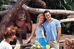 Morning at the Singapore Zoo with optional Jungle Breakfast with Orangutans