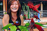 Singapore Jurong Bird Park Tour
