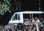 Singapore Night Safari Private Tour