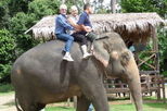 Elephant Sanctuary Private Tour