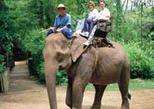 Elephant Sanctuary Private Tour
