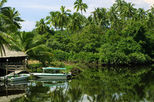Kilas Wetland's River Safari, Sabah Tour
