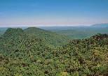 Matang Wildlife Centre and Kubah National Park, Borneo tour