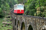 Penang Hill and Kek Lok Si Buddhist Temple Afternoon Tour