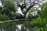 Penang Spice Trail, Penang day tours