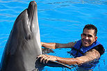Cabo Dolphin Encounters