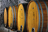 Frascati Wine Tasting Tour from Rome