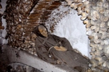 Skip the Line and Exclusive Private Viewing: Crypts and Catacombs Walking Tour - The Underside of Rome
