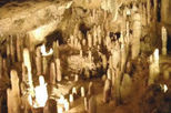 Natural Wonders of Barbados Tour including Harissons Cave