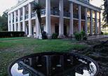 Swamp and Plantation Combo Tour