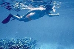 Key West Island T?ing: Sail, Snorkel and Kayak Adventure