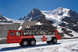 Athabasca Glacier Snow Trip from Banff