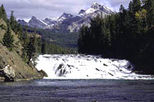 Discover Banff and its Wildlife: Summer Tour