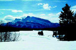 Winter Tour: Banff and its Wildlife
